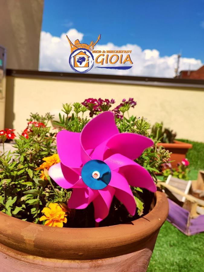 B&B Gioia Catanzaro Exteriér fotografie